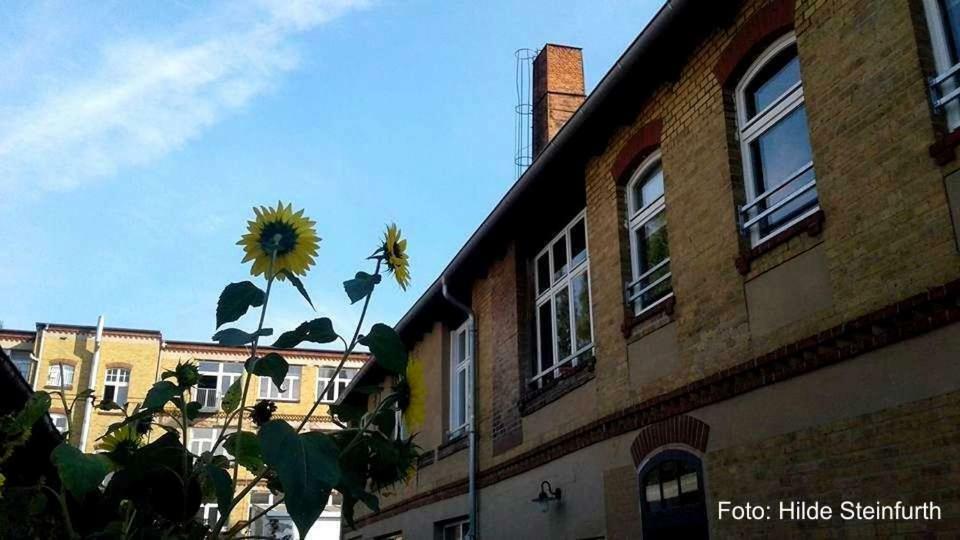 Klassmo Kulturcafe&Gaestehaus Mit Kulturwerkstatt ルッケンヴァルデ エクステリア 写真